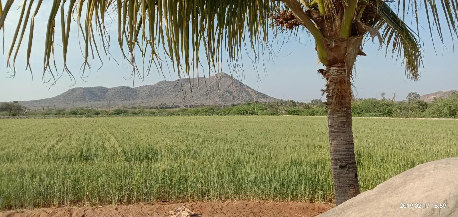 IMG 20190217 165915 Copy in Kutch